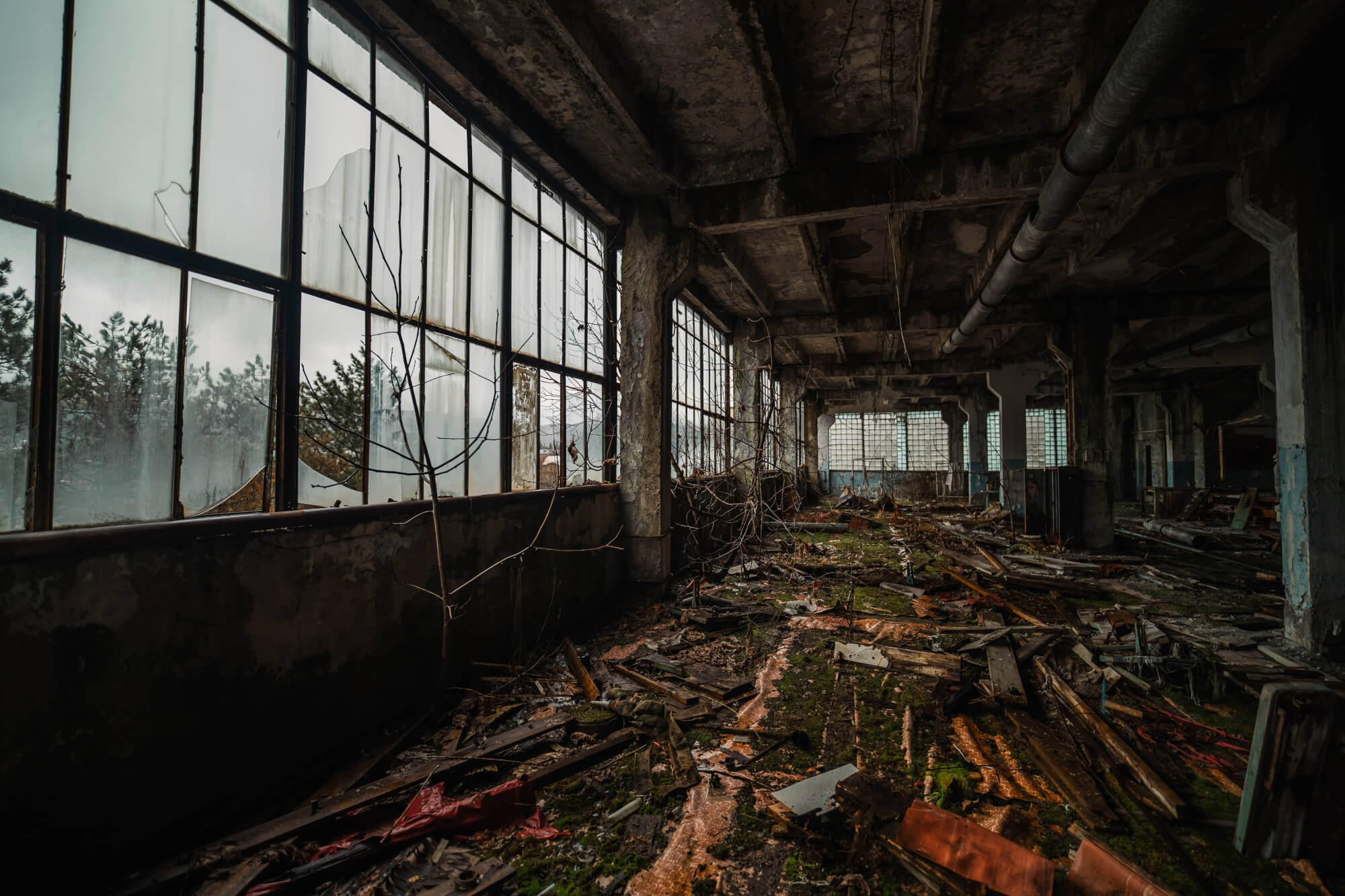 An empty, dilapidated industrial room with large windows, scattered debris on the floor, and growing plants creeping in through the cracks.