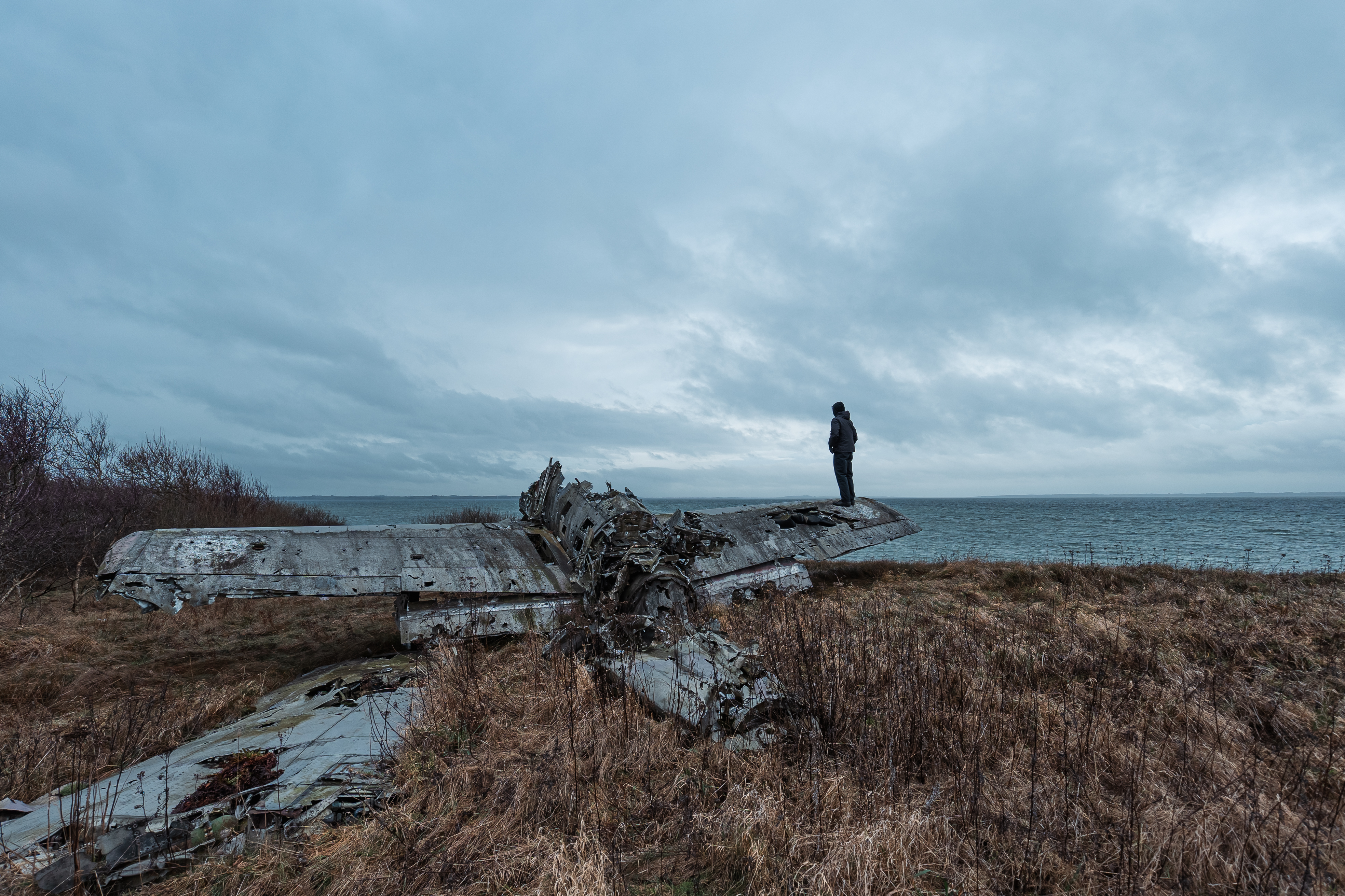 A person in dark clothing stands on the wing of a dilapidated airplane, looking out over a grey sea under a cloudy sky. The scene features tall, dry grass surrounding the aircraft remains.