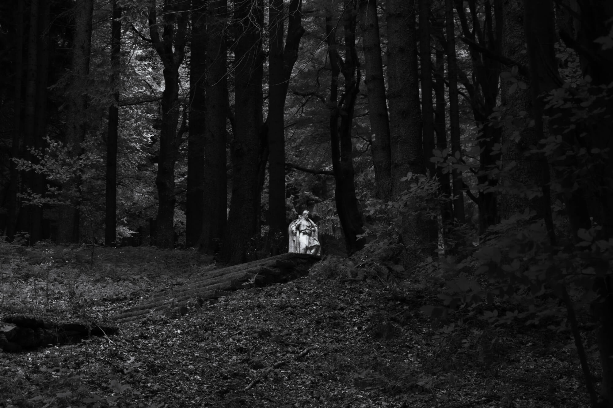 A black and white image of a figure in white clothing standing on a slope in a dark forest, surrounded by tall trees and faint light filtering through the foliage.