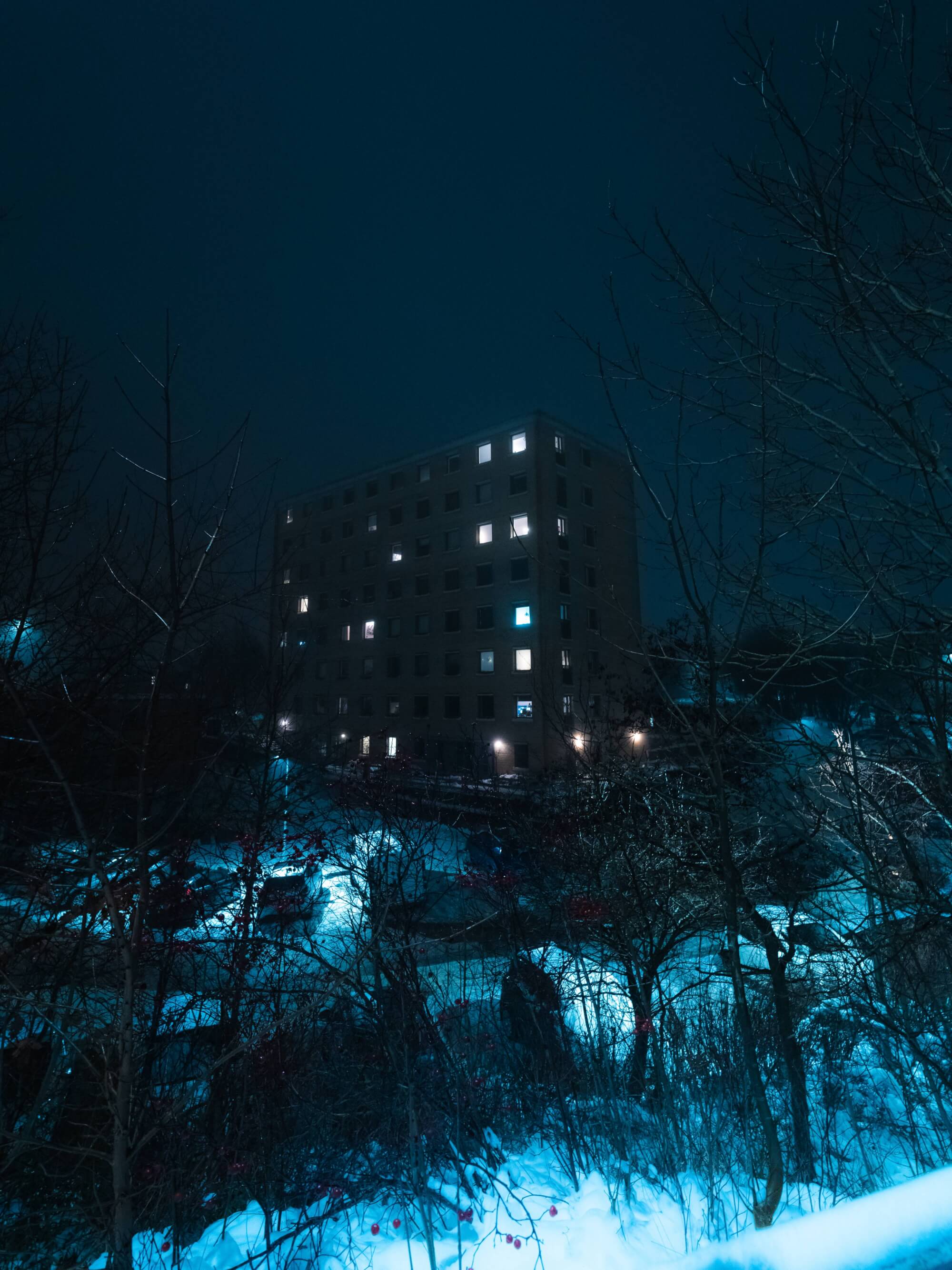 A dark night scene featuring a tall building with illuminated windows, surrounded by snow-covered ground and leafless trees. The overall tone is blue and quiet, suggesting a calm yet lonely atmosphere.