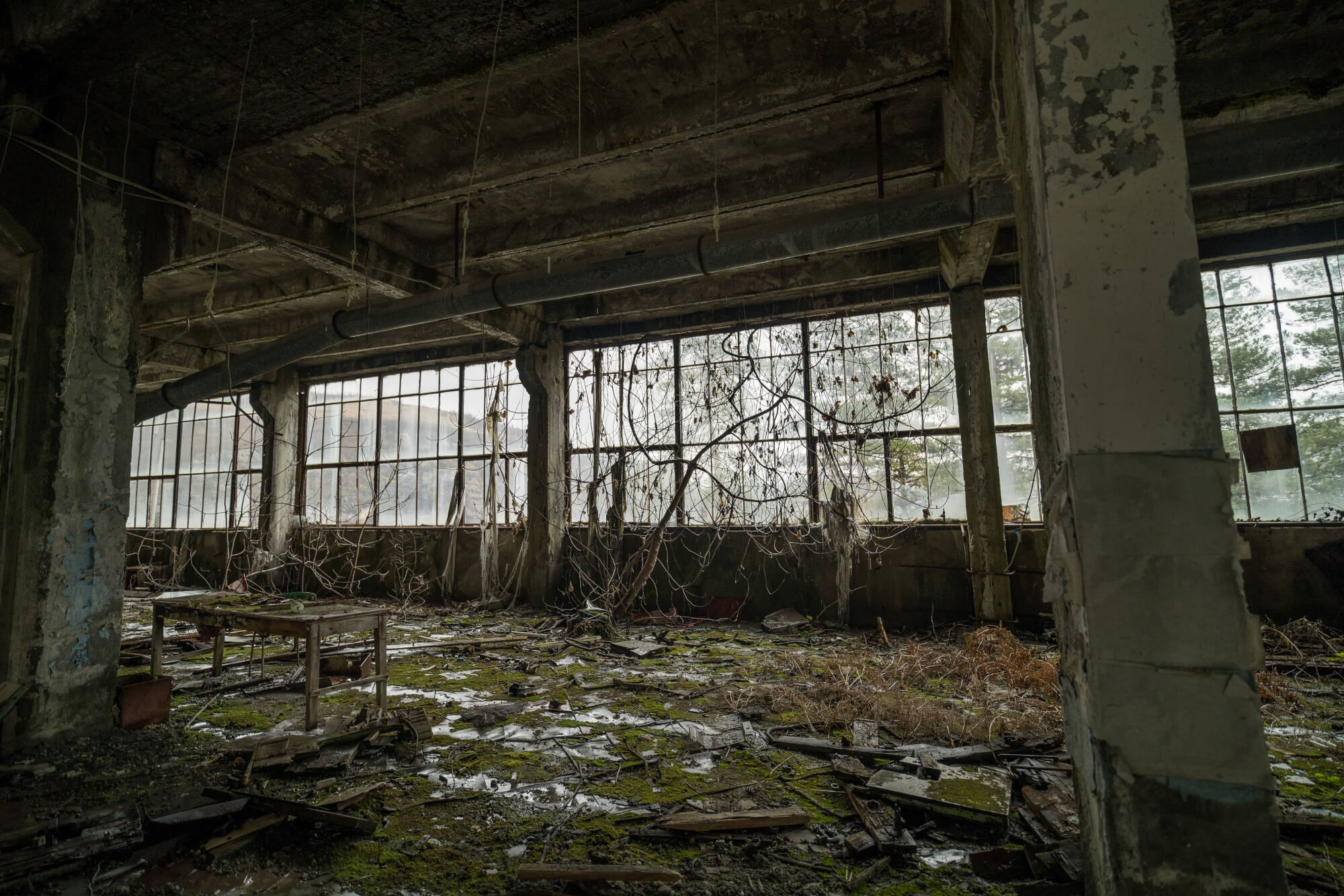 A desolate industrial room with a table surrounded by debris, overgrown with moss and vines, and large windows revealing a foggy landscape.