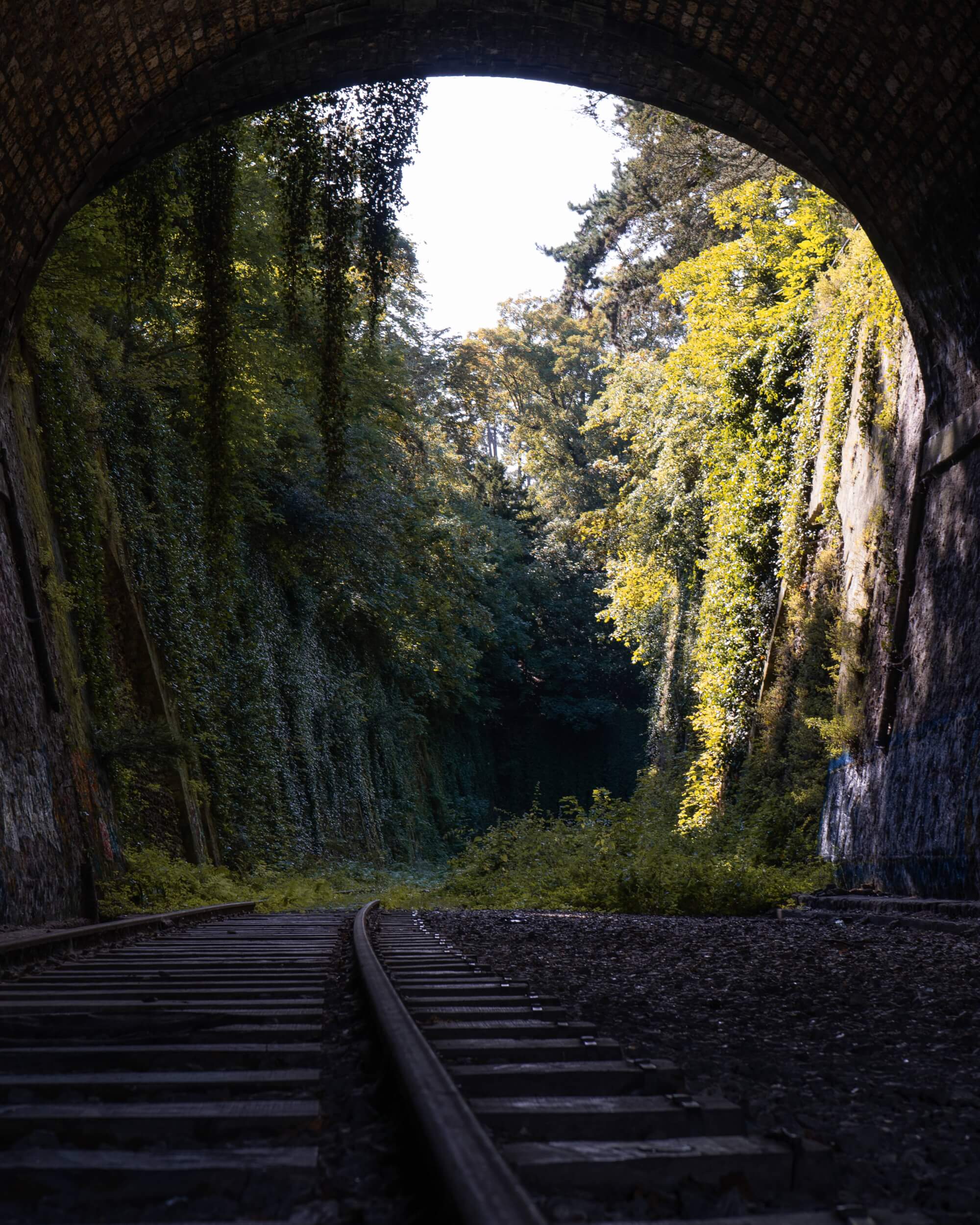 View of overgrown railway tracks leading into a green tunnel framed by a stone arch, with sunlight filtering through the foliage.