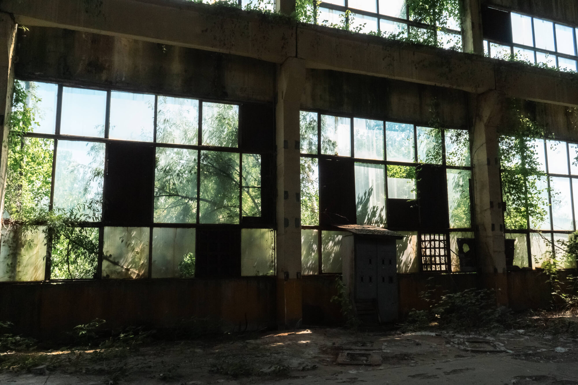 Interior of an abandoned building with large windows partially covered by plants, showing sunlight filtering through dust and cracks. The floor is littered with debris and shadows from the windows fall across the ground.