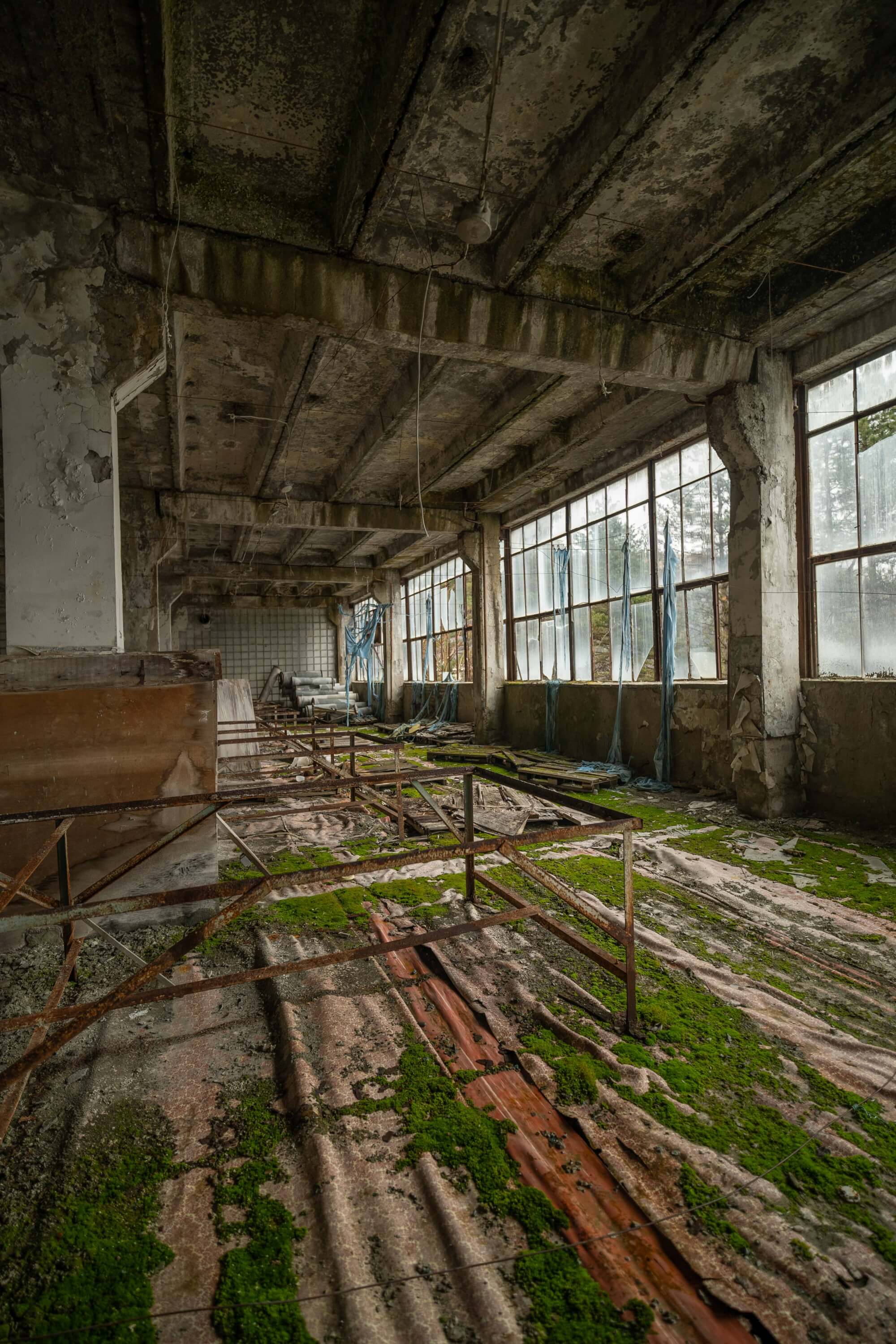 Interior of a dilapidated industrial building with moss covering the floor, rusting metal frameworks, and large, cracked windows allowing light to filter through.