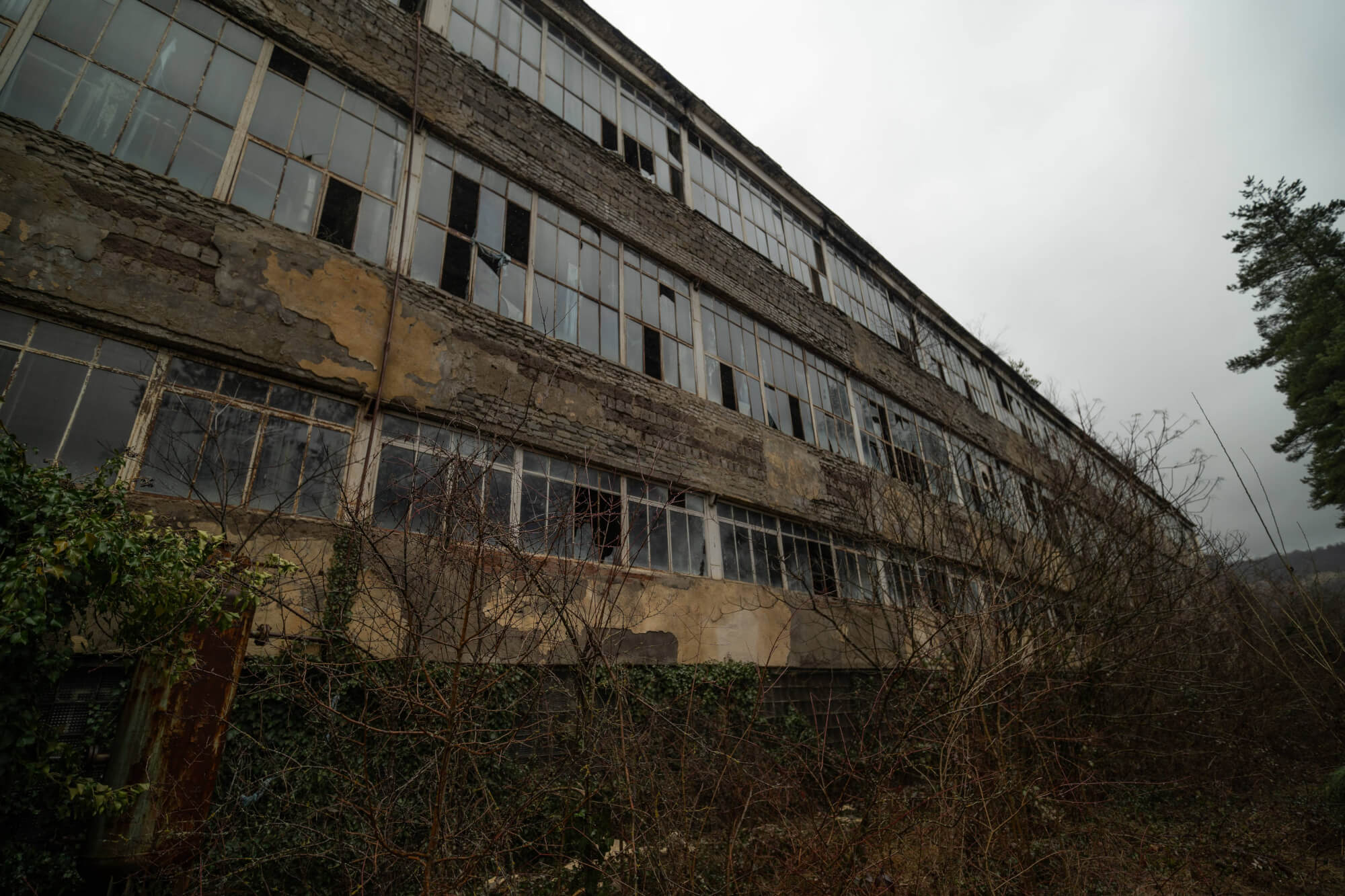 A dilapidated industrial building with large windows, surrounded by overgrown weeds and vines, set against a cloudy sky.
