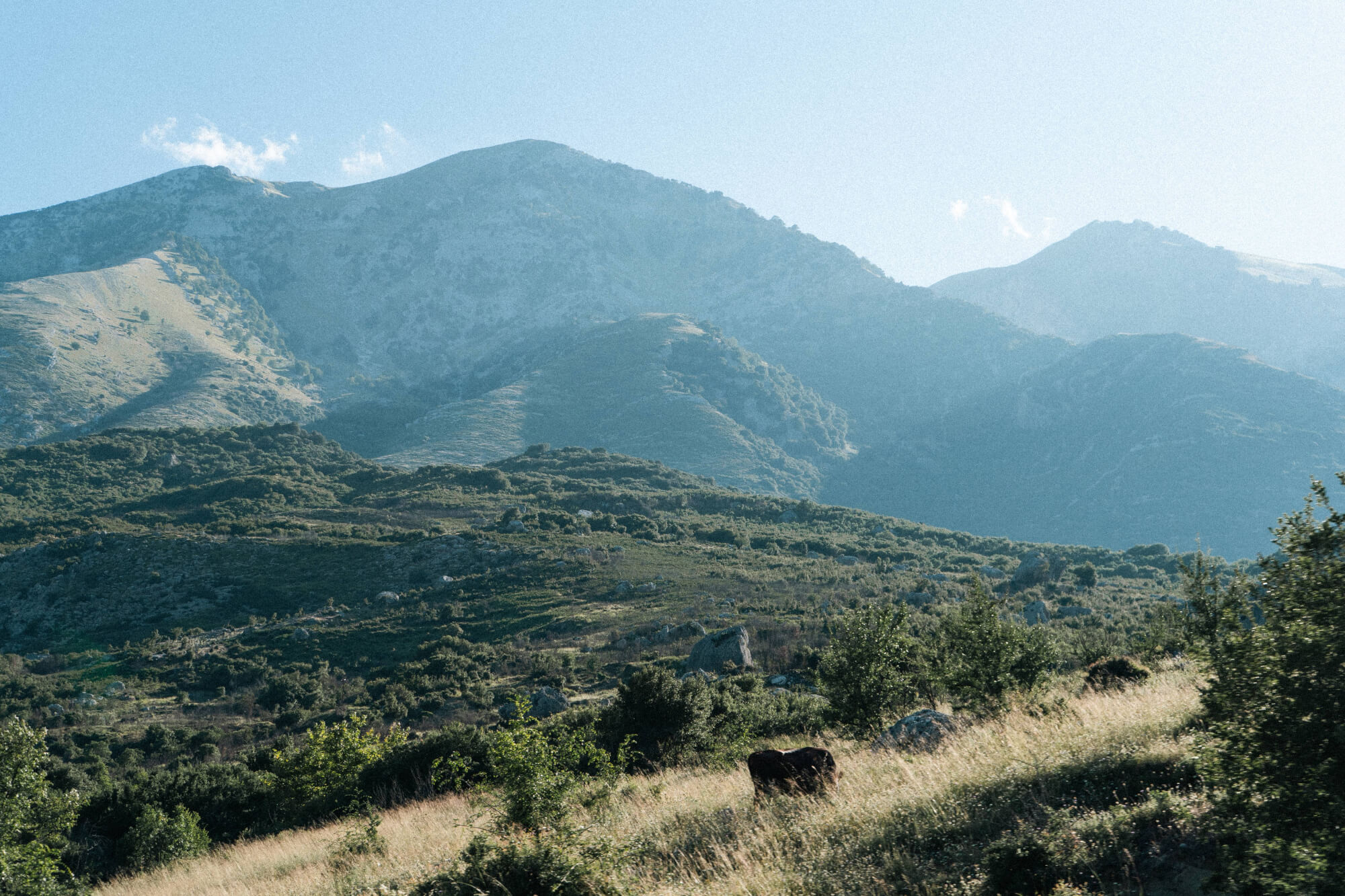 A picturesque scene of mountains and hills with lush greenery, a clear sky, and a cow grazing in a field of tall grass.