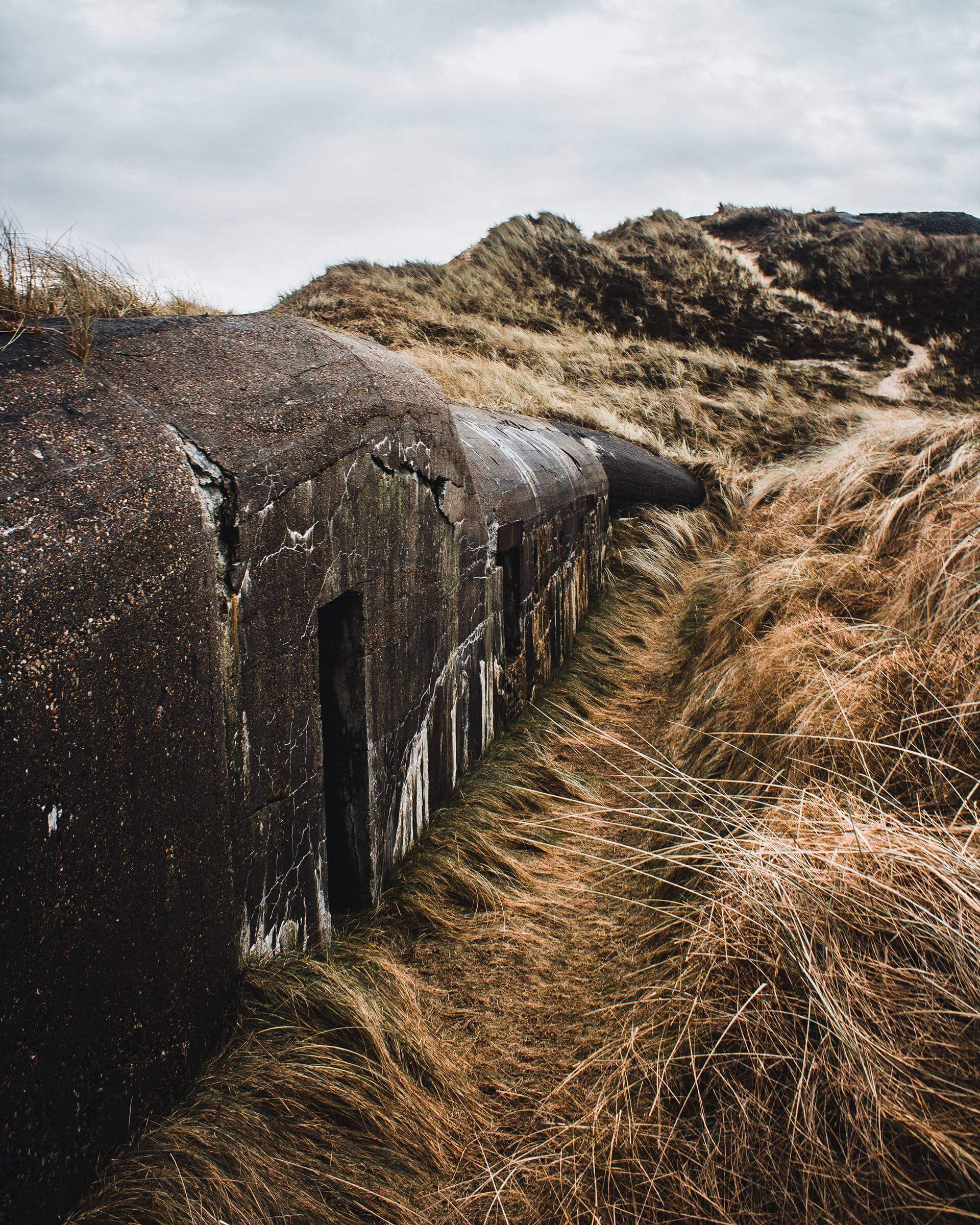 A weathered concrete bunker lies in a field of tall, dry grass under a cloudy sky. The bunker shows signs of age and decay, with a partially open door and cracked surface. The surrounding landscape is undulating, emphasizing the solitude of the scene.