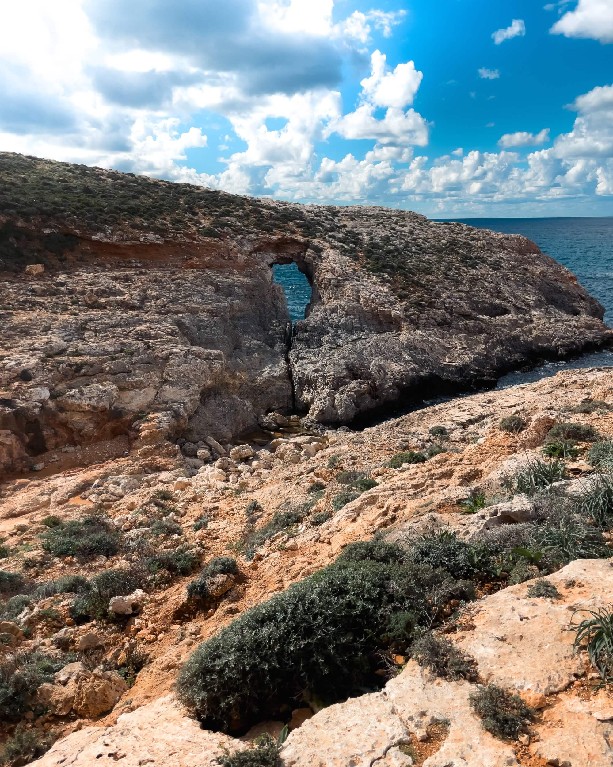 A rocky coastline with a natural archway leading to the ocean, surrounded by greenery and under a blue sky with white clouds.