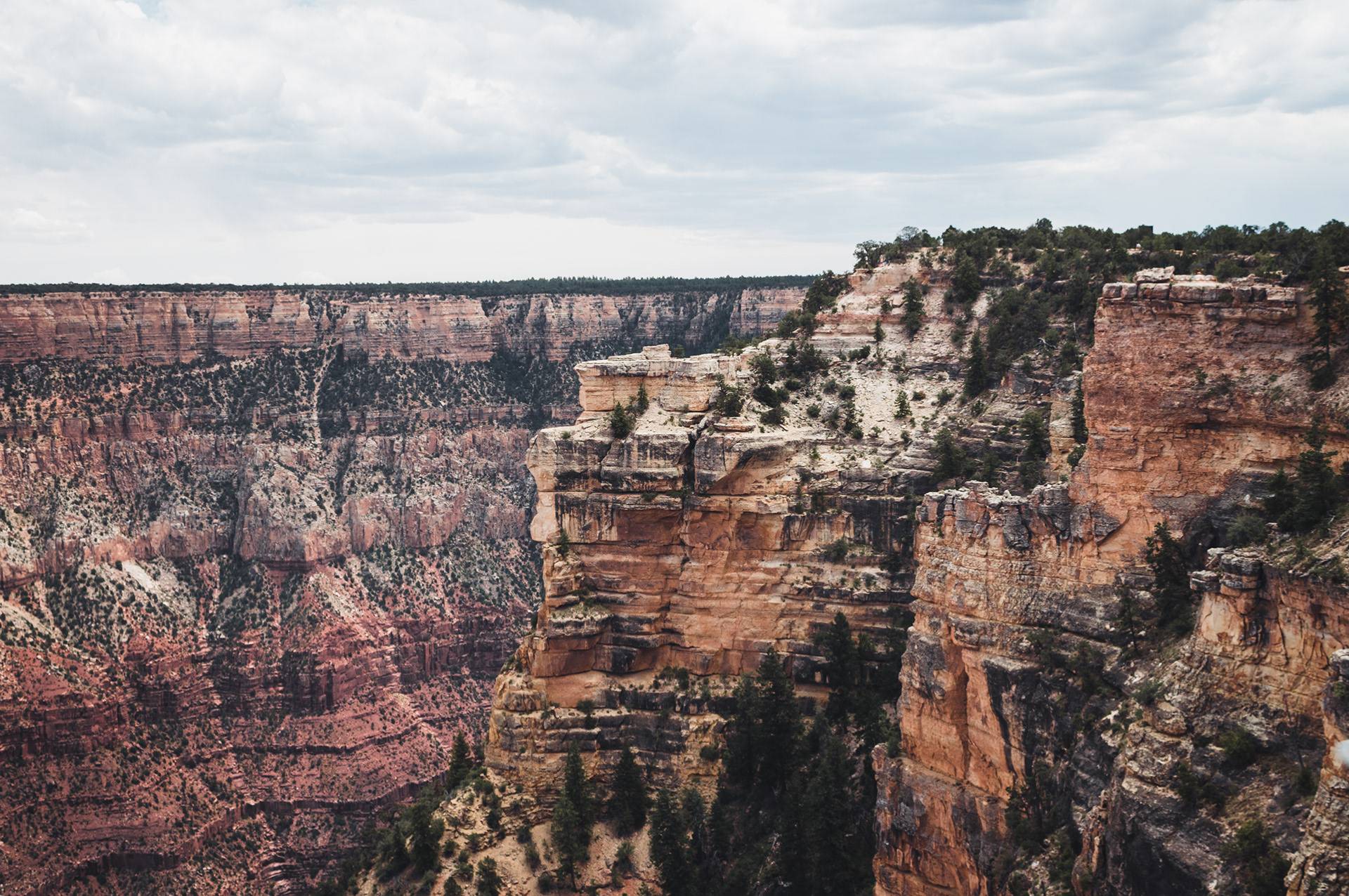 A panoramic view of a rocky canyon with steep cliffs and a cloudy sky, featuring layers of red and brown rock formations. Sparse greenery is visible on the cliffs, adding contrast to the rocky textures.