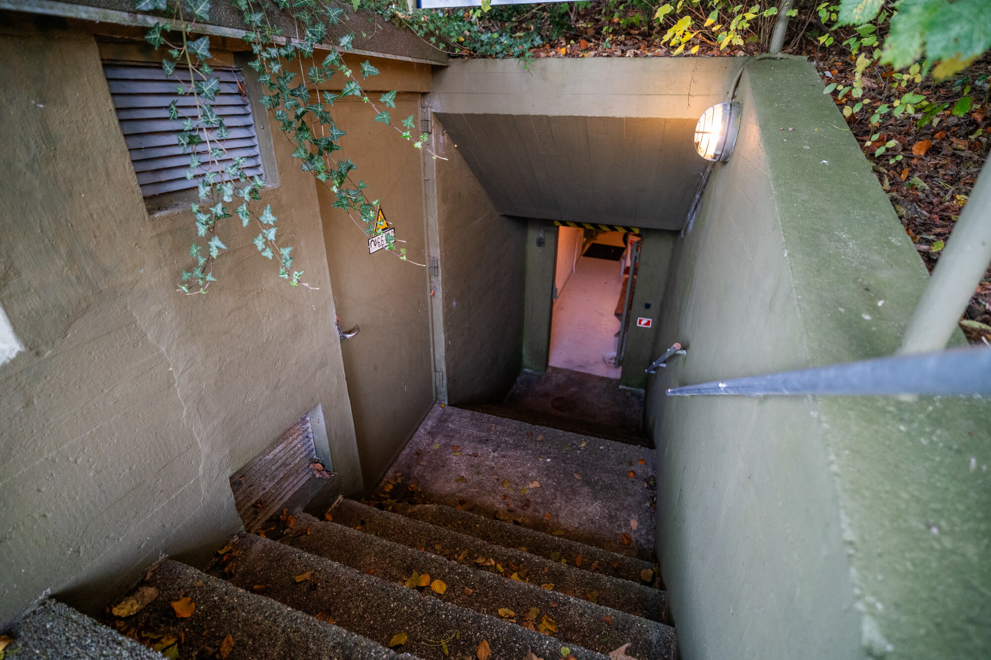 A staircase leading down into a dimly lit entrance with green walls and scattered leaves on the steps, framed by creeping ivy.
