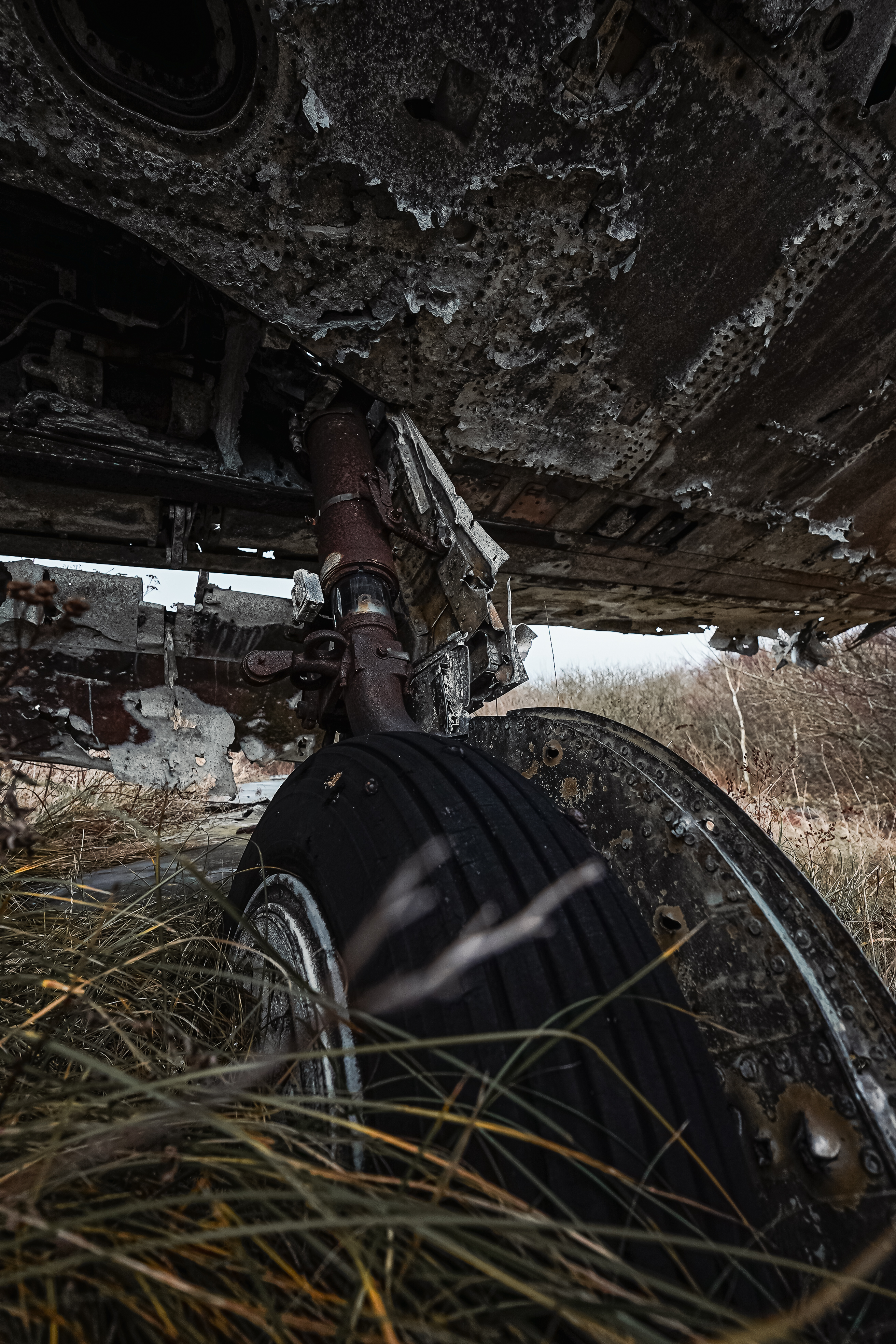 Close-up of an abandoned aircraft's landing gear and wheel partially obscured by tall grass, showing signs of rust and decay.