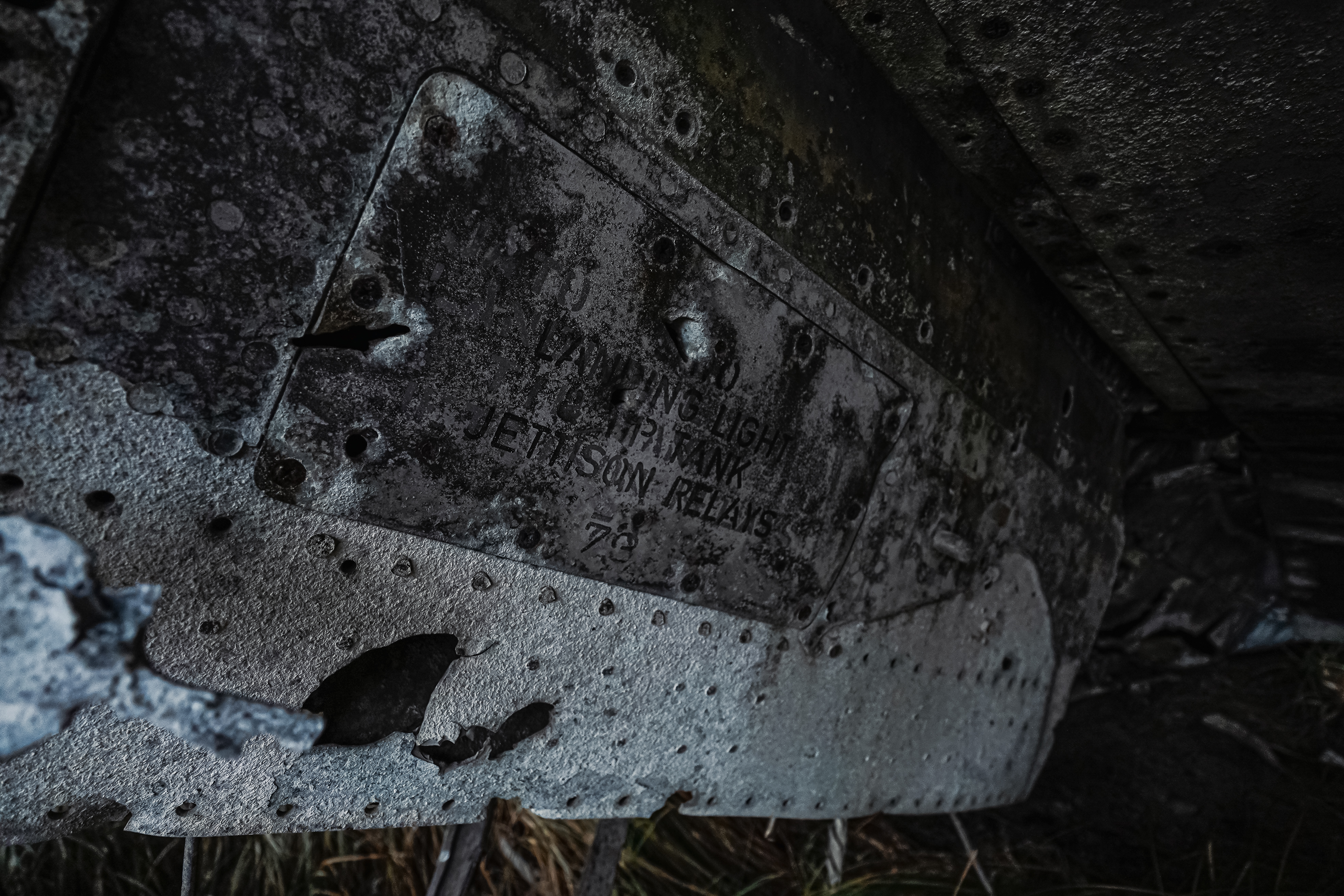 A close-up view of a weathered aircraft panel with visible rust and wear, featuring faded labels that read 'JETTISON RELAYS.' The background includes blurred green grass.