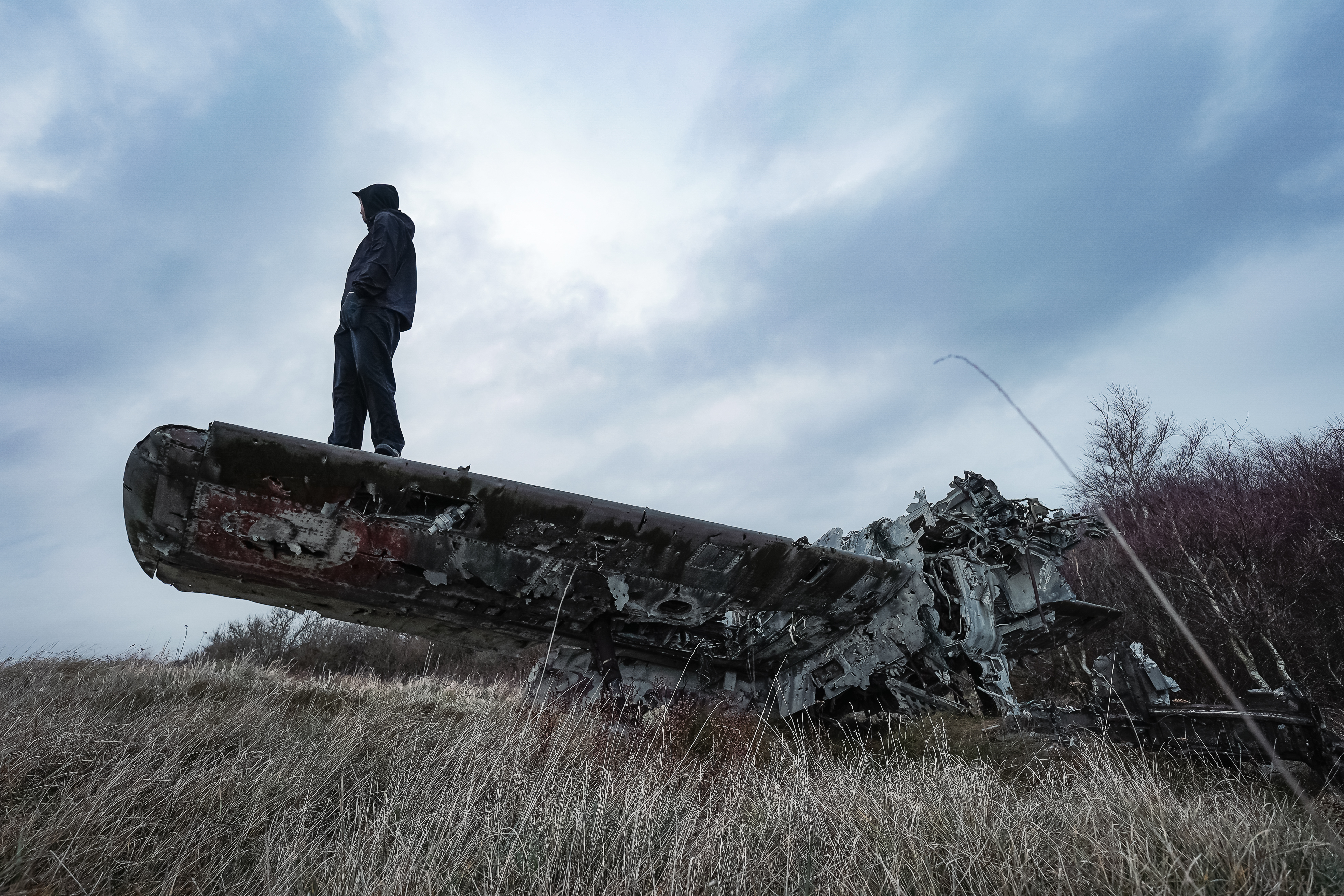 A person in a black hoodie stands on a metal airplane wreckage in a field of tall grass, with overcast skies above.