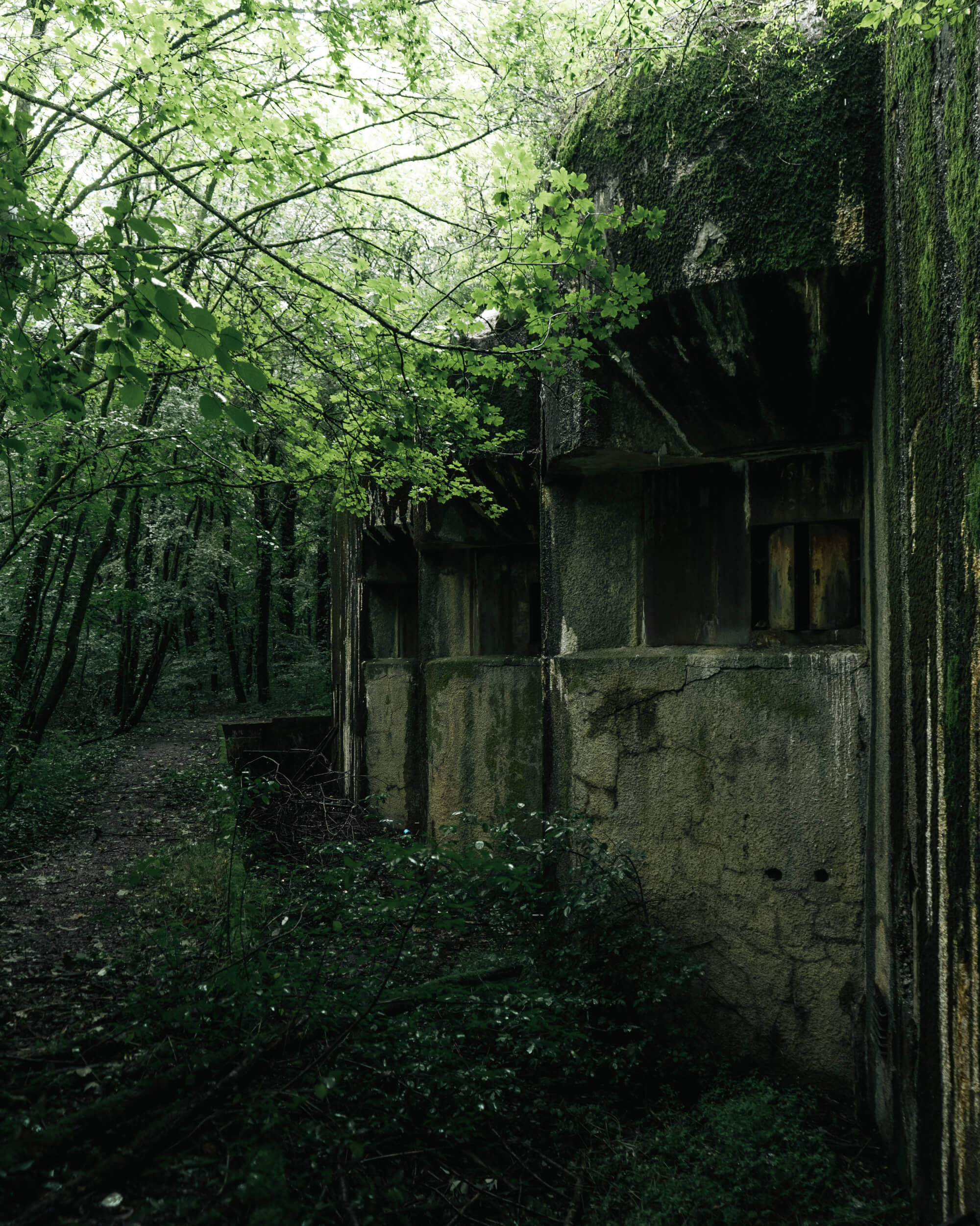 A weathered concrete building partially covered in moss and surrounded by dense greenery. A narrow, winding path leads into the woods on the left side of the image.