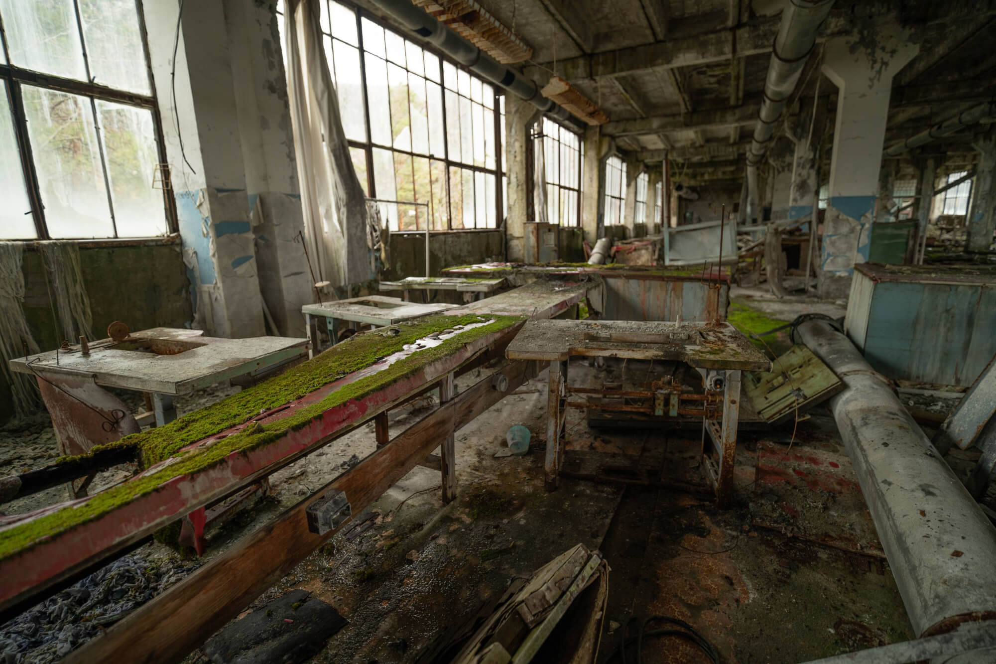 A deserted factory interior with overgrown moss on surfaces, large windows letting in dim light, and scattered remnants of old furniture and machinery.