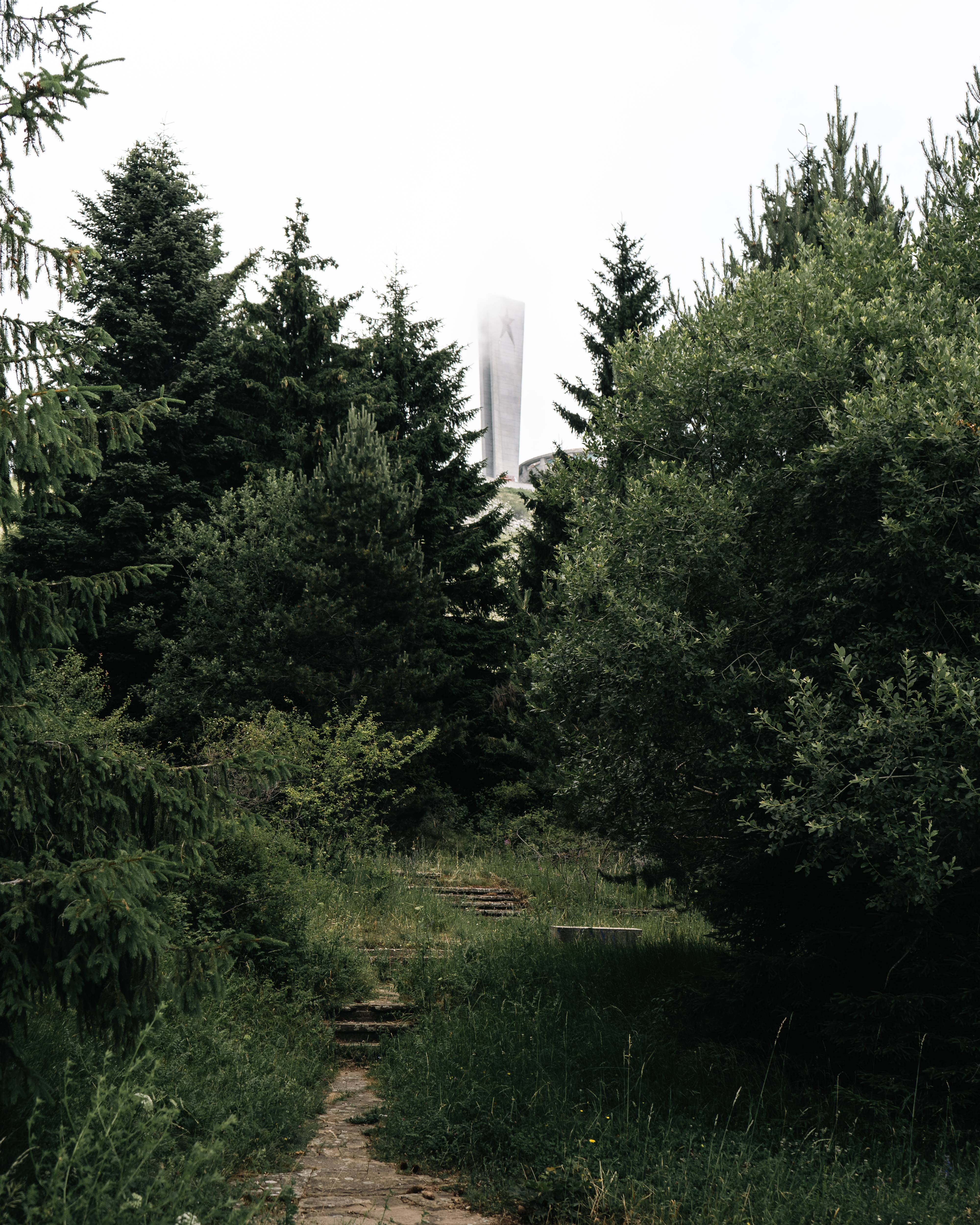 A narrow stone pathway surrounded by tall green trees and dense foliage leads to a foggy structure in the distance, partially hidden by mist.