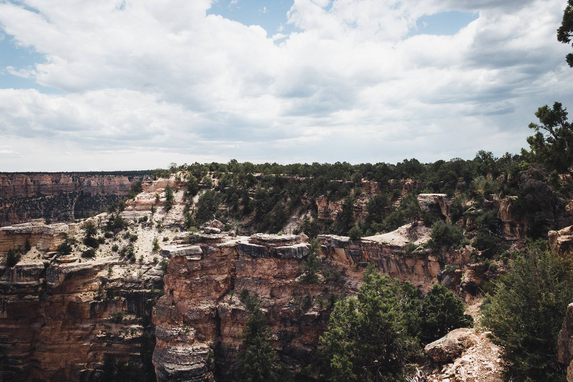 A panoramic view of a canyon with steep rocky cliffs and green vegetation, beneath a cloudy sky.