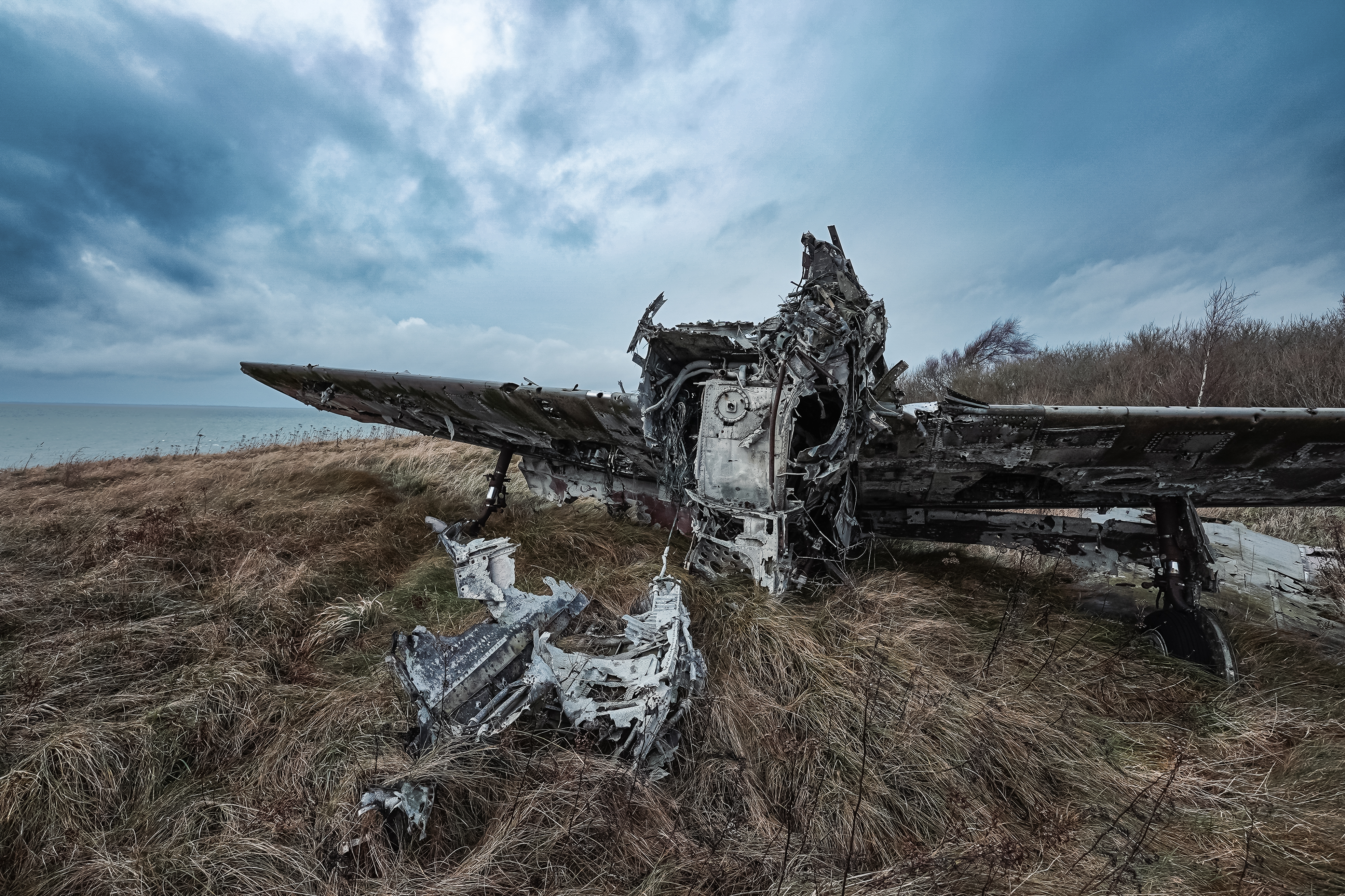 An abandoned aircraft wreck partially buried in tall grass, with a cloudy sky above and the ocean visible in the background.