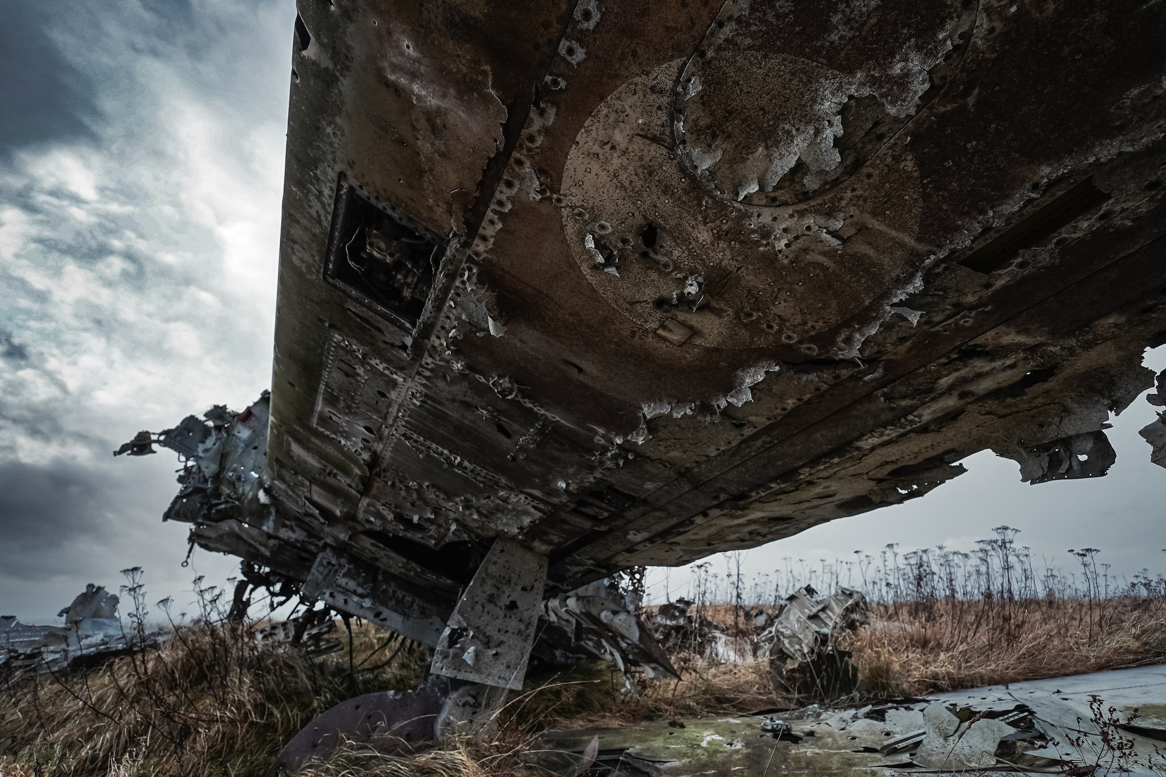 Low-angle view of a damaged, rusting aircraft wing with peeling metal and overgrown weeds in the foreground under a cloudy, gray sky.