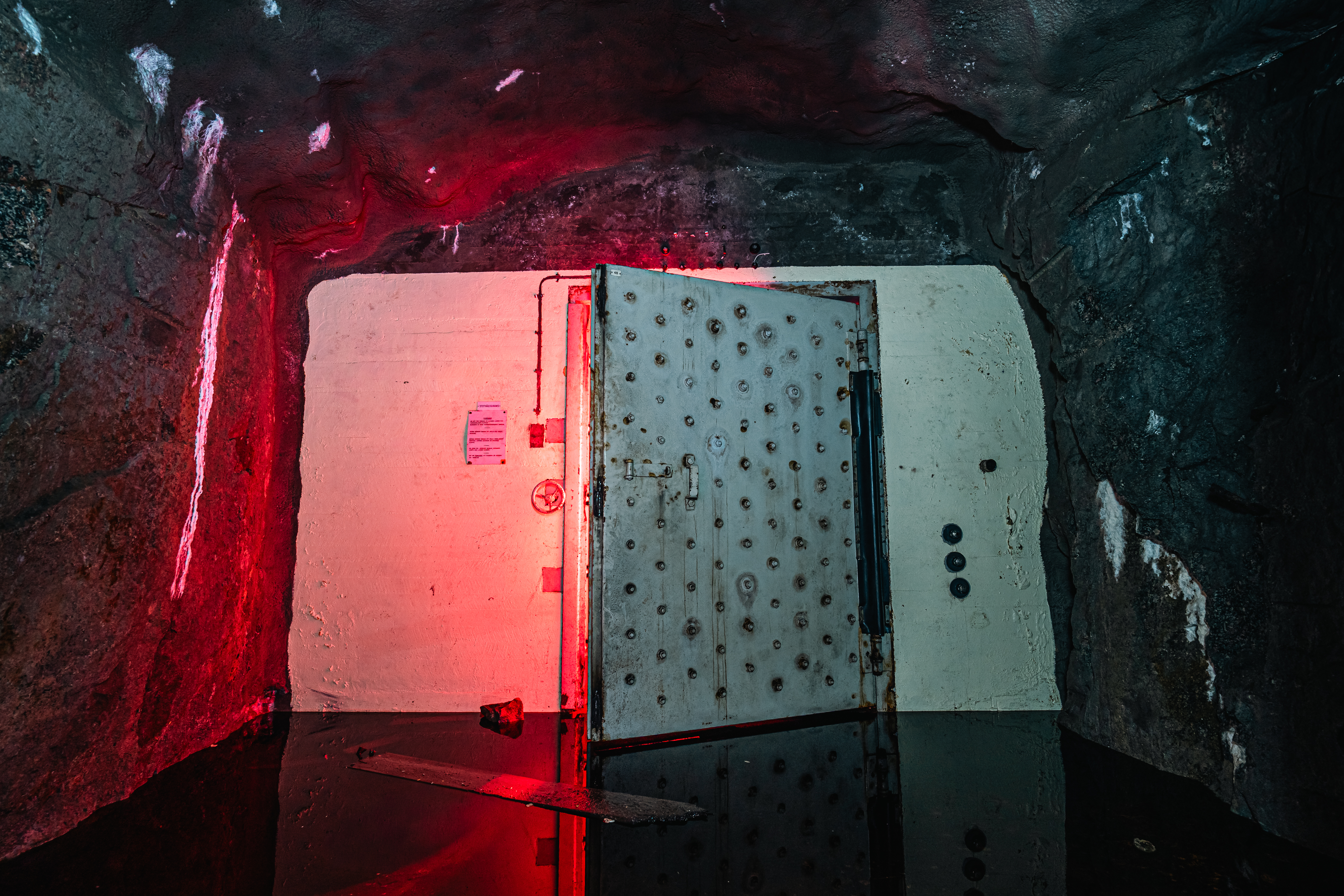 An industrial steel door partially open in a dark underground space, illuminated with red light and surrounded by rocky walls, with water pooling on the floor.