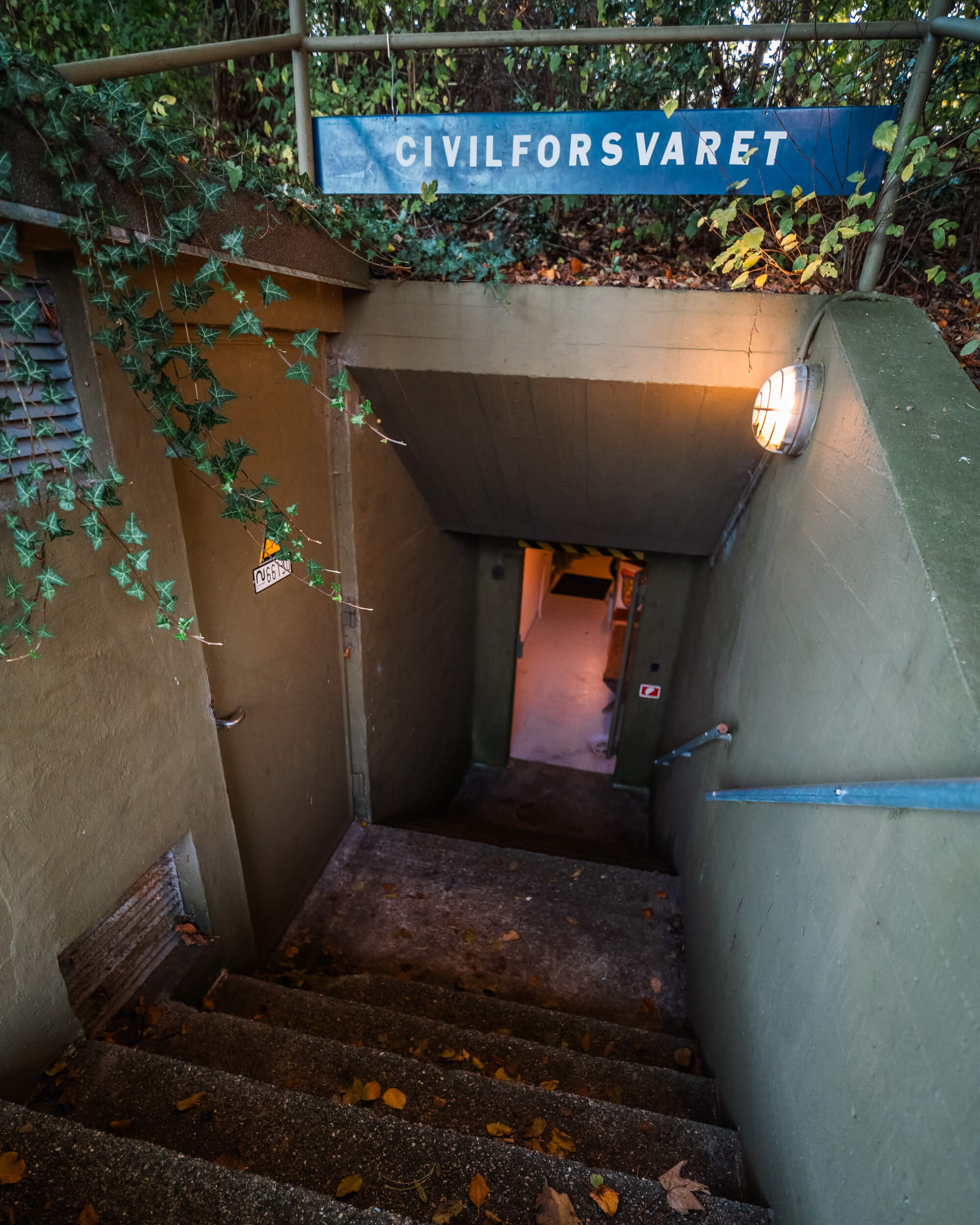 A staircase with concrete steps leading down into a dimly lit hallway. A sign above reads 'CIVILFORSVARET.' Ivy is growing along the left side, and there are scattered autumn leaves on the steps.