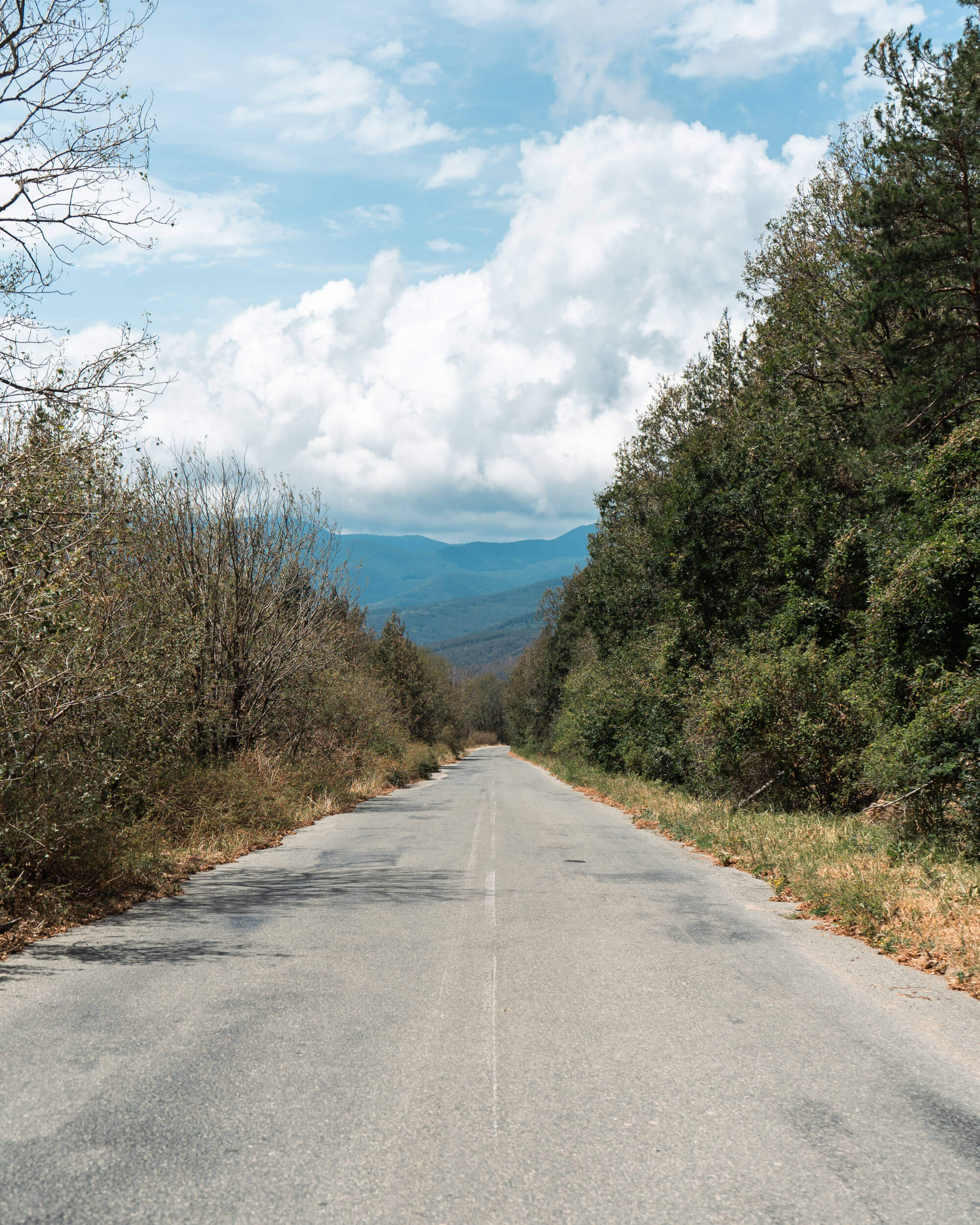 A deserted road surrounded by trees on both sides, leading towards distant mountains under a partly cloudy sky.