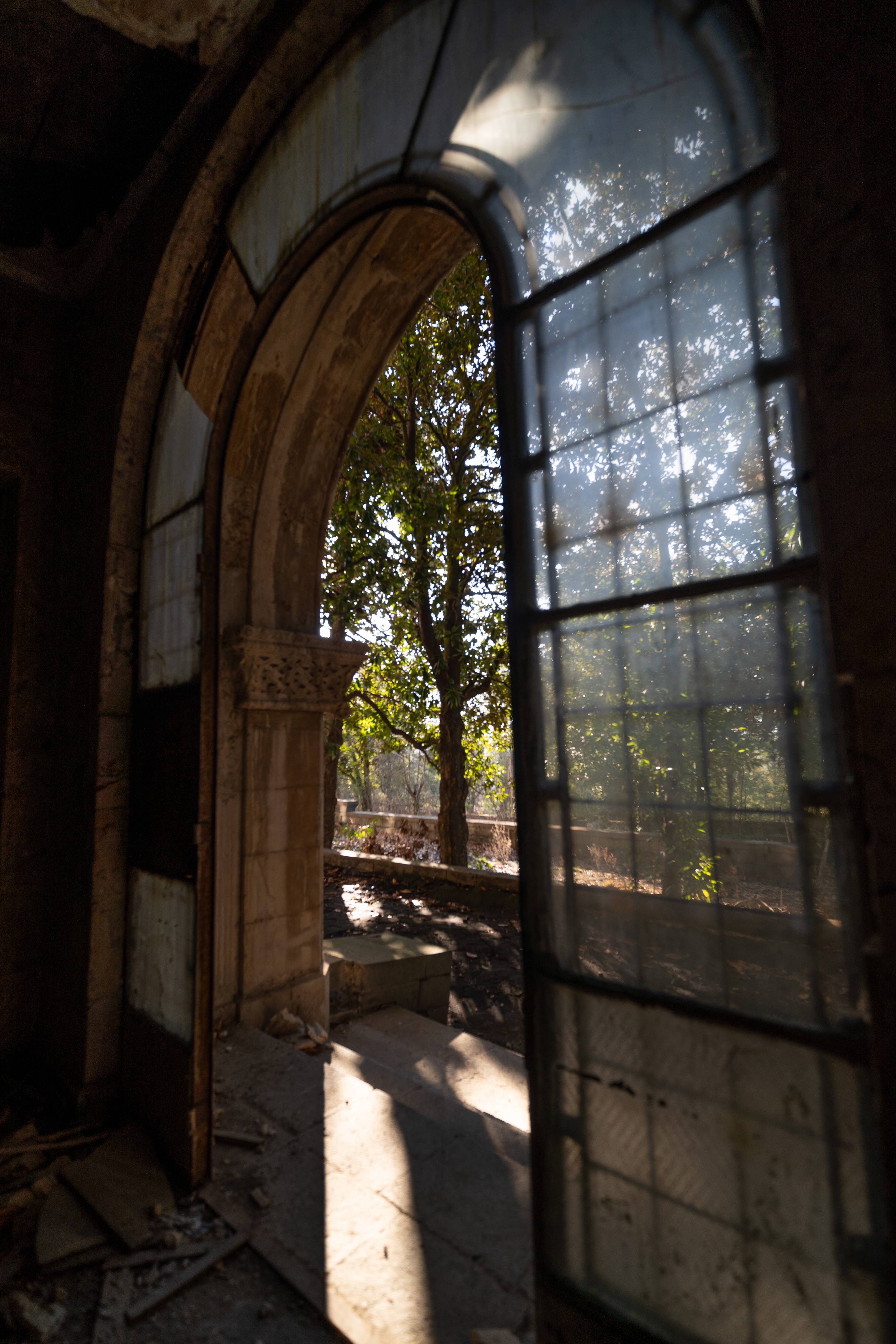 A view from inside an abandoned building through an arched door. Sunlight shines through dusty glass panels, illuminating a tree outside with green leaves. The ground is scattered with debris, and shadows fall softly across the doorway.