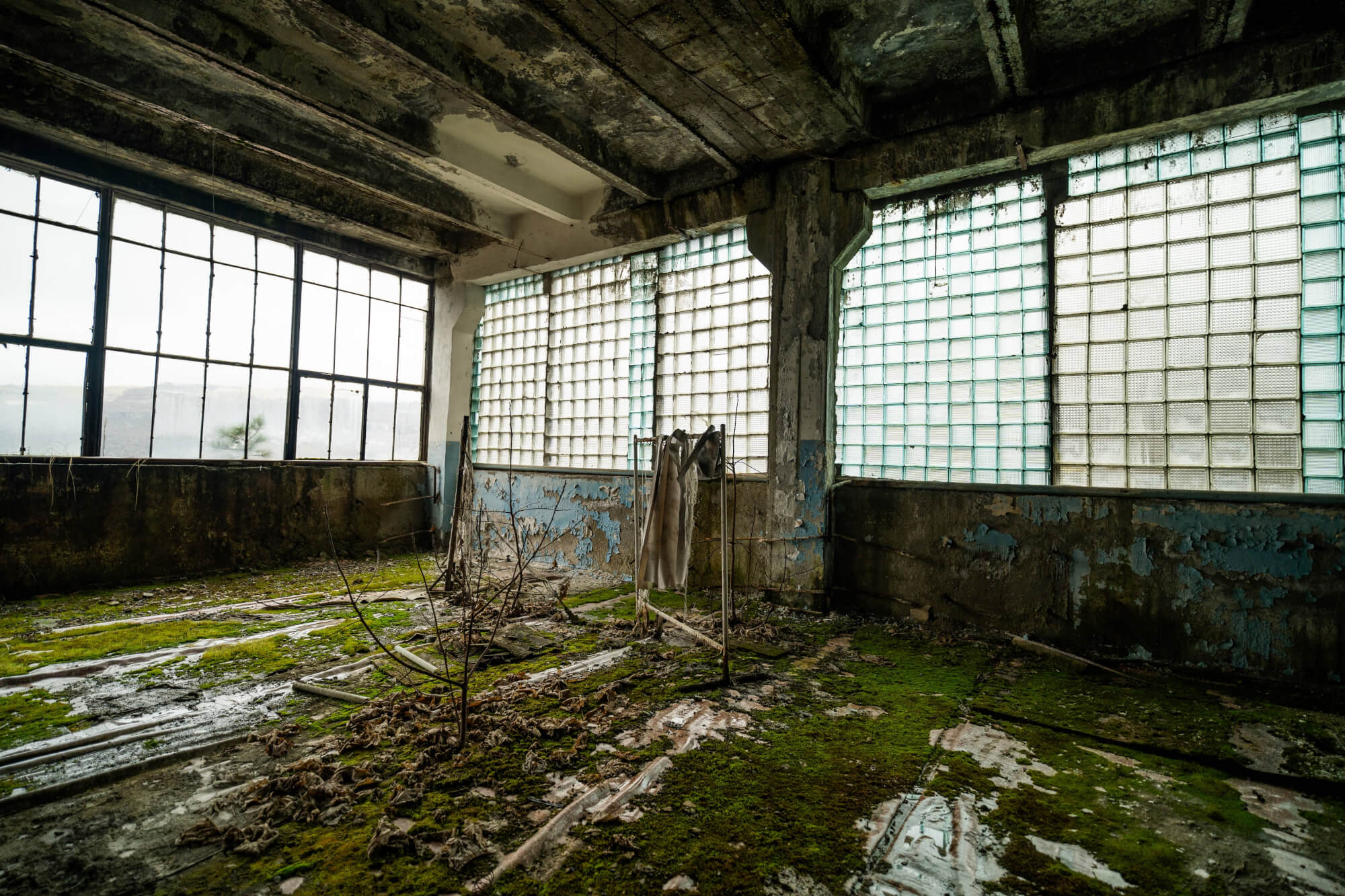 A dilapidated industrial room with large glass block windows, moss-covered floor, dried leaves, and scattered debris. Light filters through the dust, highlighting the textures of the decaying walls and ceiling.