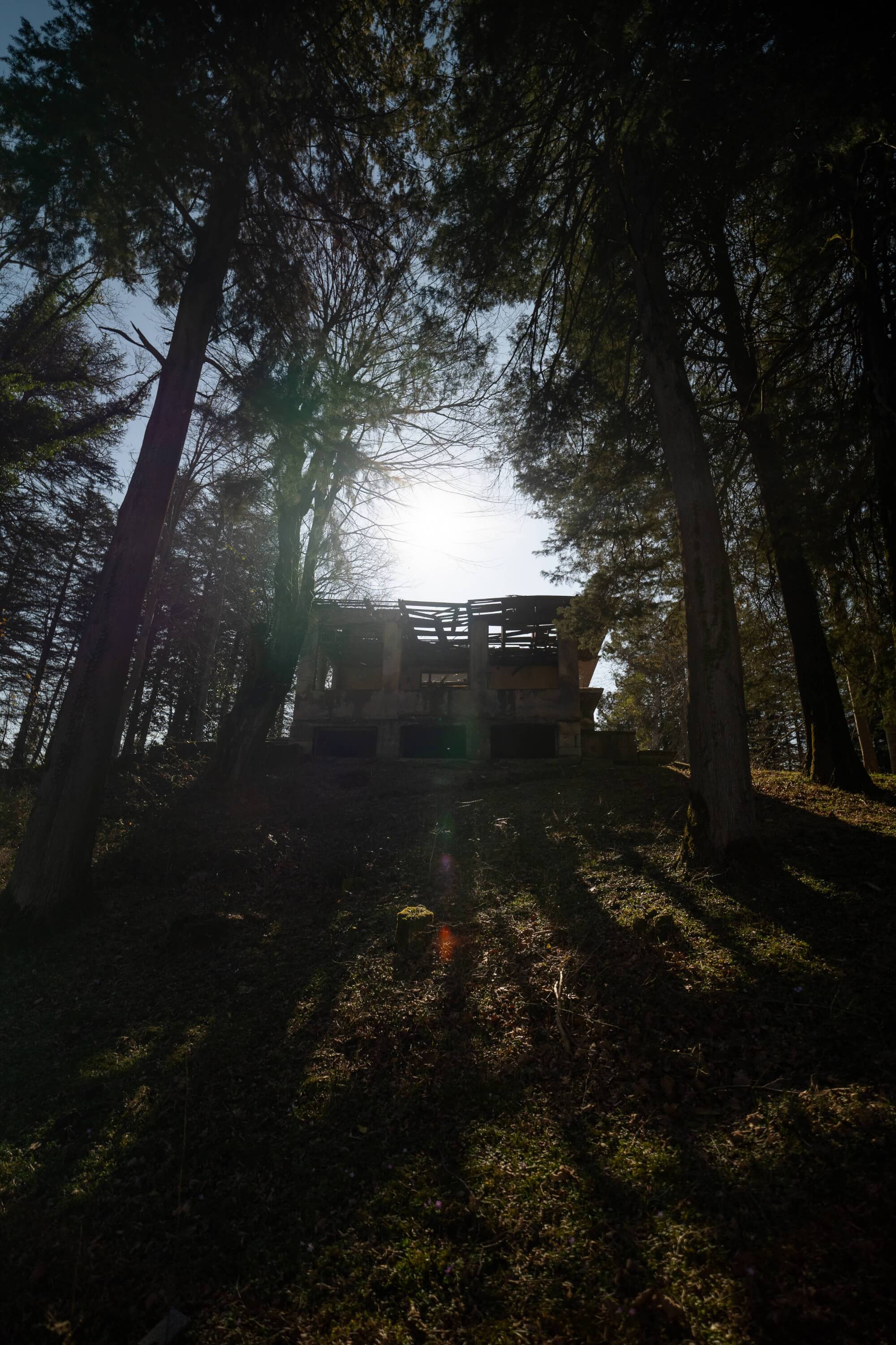 A rundown structure partially obscured by tall trees, with sunlight filtering through the branches, casting shadows on the grassy ground.