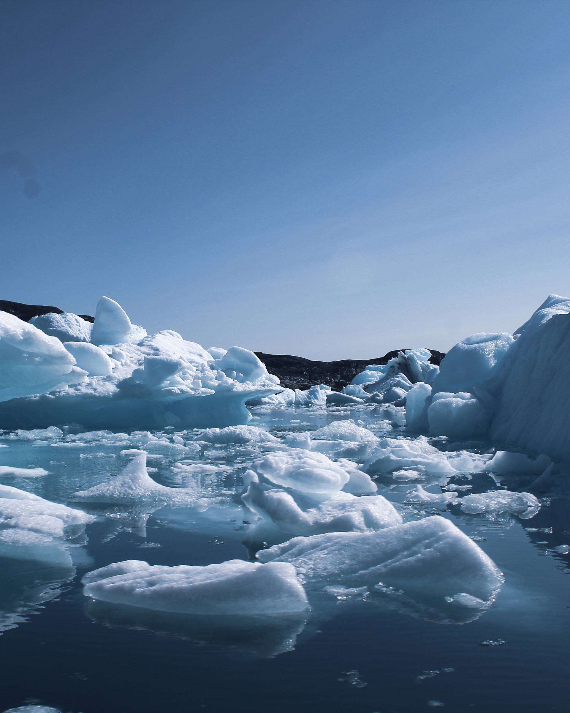 A panoramic view of icebergs on tranquil waters under a clear blue sky, reflecting the ice formations in the calm surface.