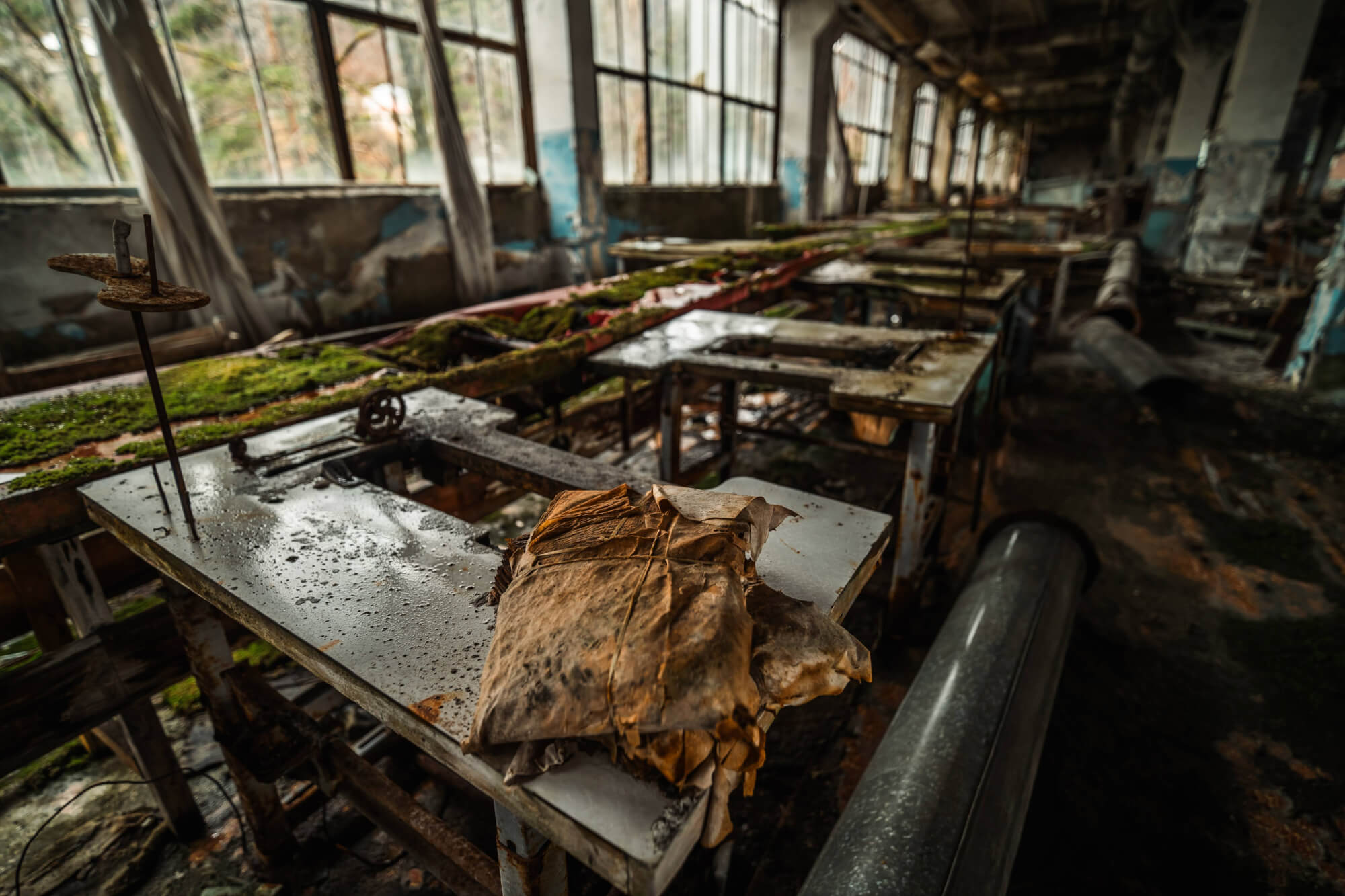 An abandoned workshop with large windows, showing a damp table covered in rust and moss. A weathered book lies on the surface, surrounded by disordered industrial equipment.